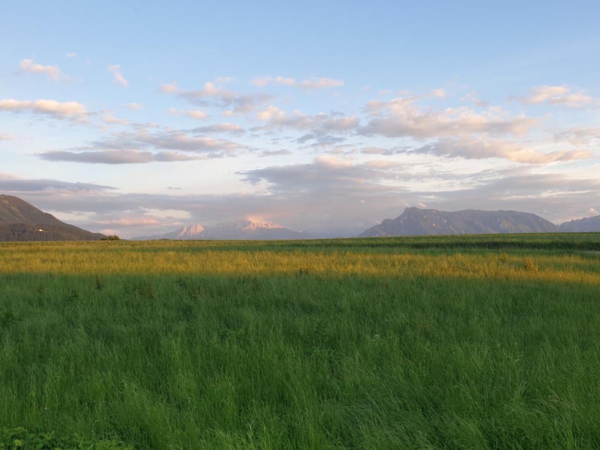 Schmiedbauergut Elixhausen, Mitten In Der Natur Bagian luar foto